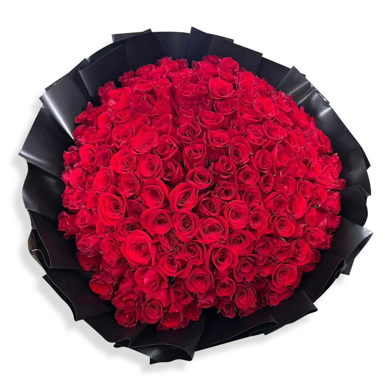 Days Flowers Florida: 200 Red Roses arrangement in luxurious black satin wrapping. Unforgettable romantic gift delivery in Summerfield, Florida