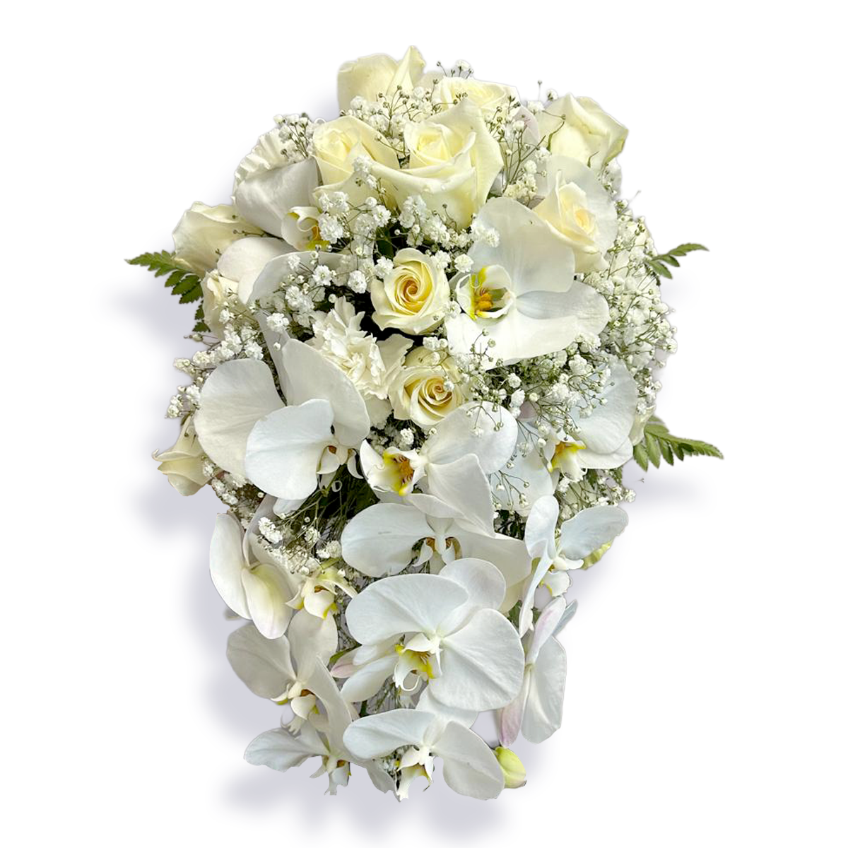 Days Flowers Florida: Heavenly Purity, exquisite arrangement with white roses, orchids, and baby's breath. Elegant gift delivery for weddings in Summerfield, FL