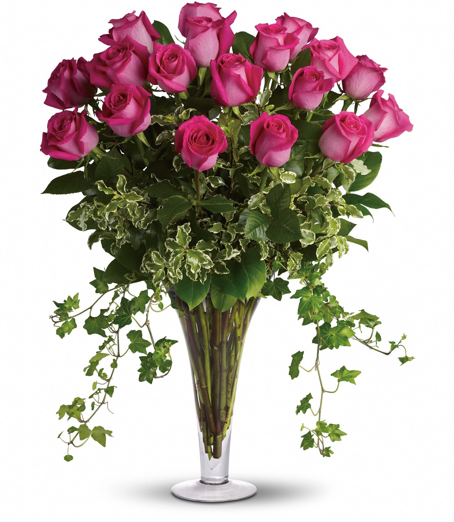 Dreaming in Pink - Long Stemmed Pink Roses