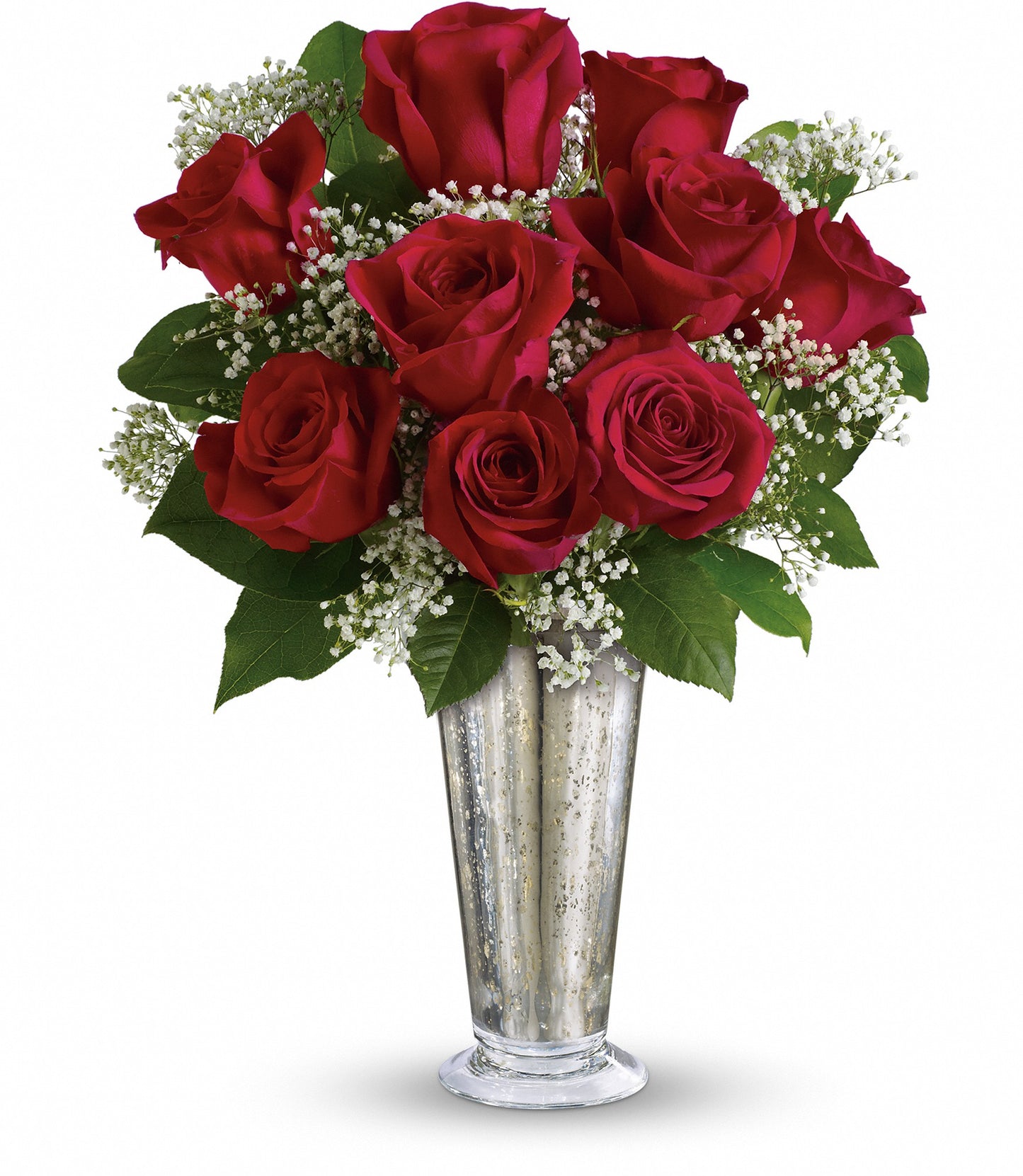 Kiss of the Rose