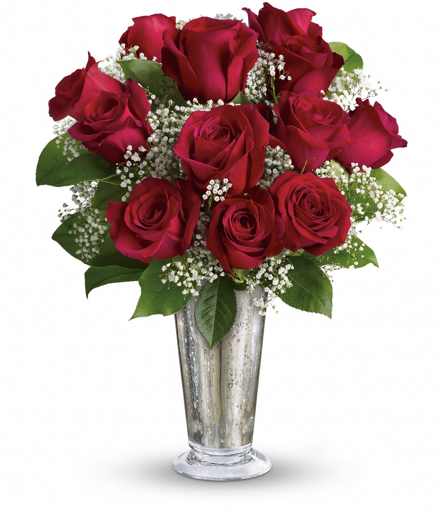 Kiss of the Rose