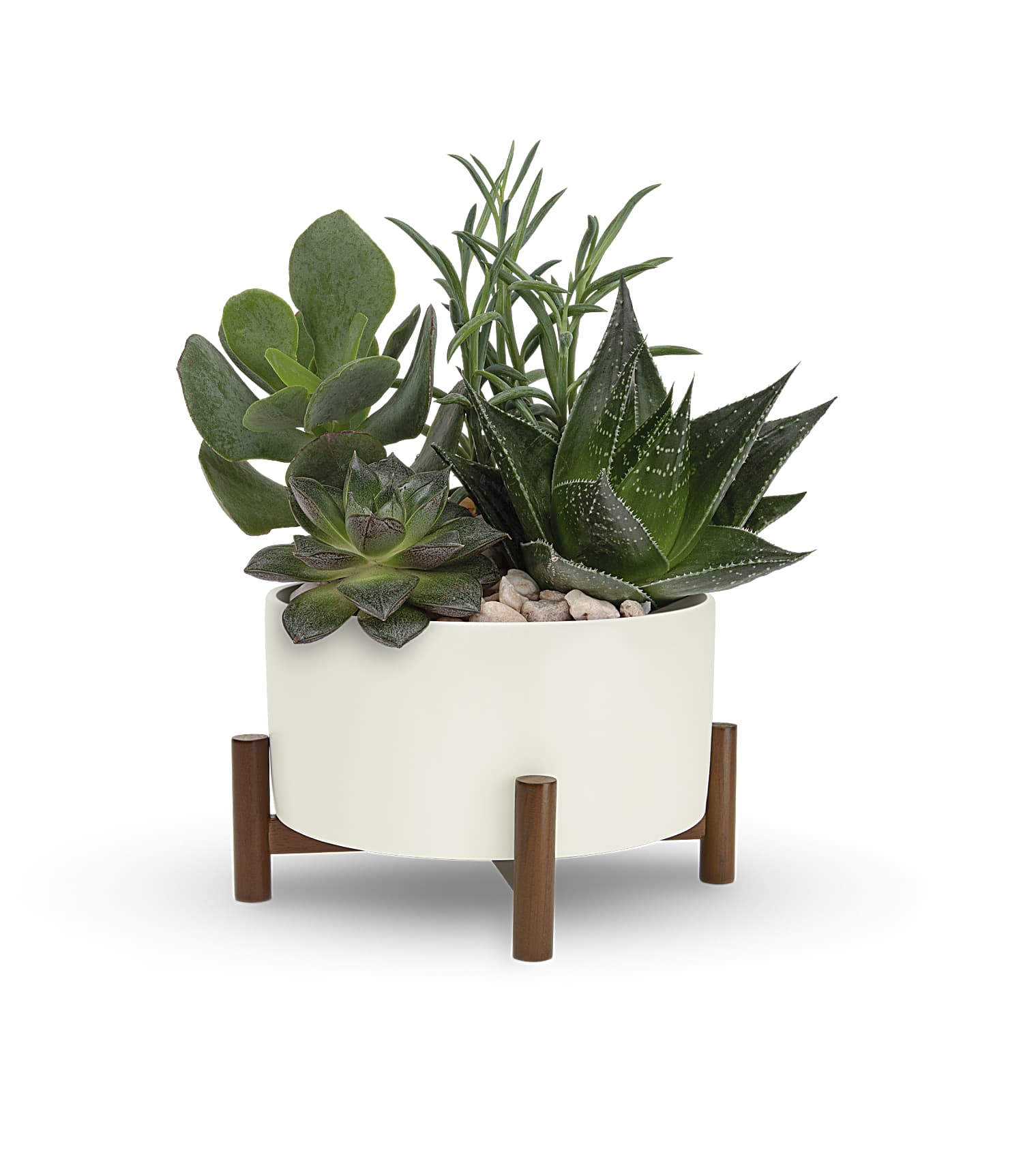 mid-century-garden