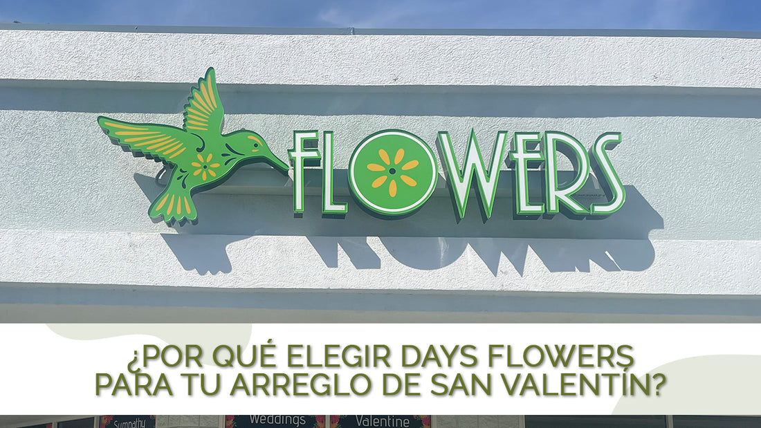 ¿Por qué elegir Days Flowers Florida para tu arreglo de San Valentín?