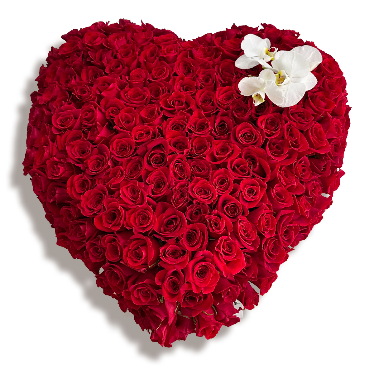 Days Flowers Florida: Velvet Romance & Orchids. Premium red rose heart for Valentine's Day or proposals. Same-day delivery in Port St. Lucie and Summerfield.