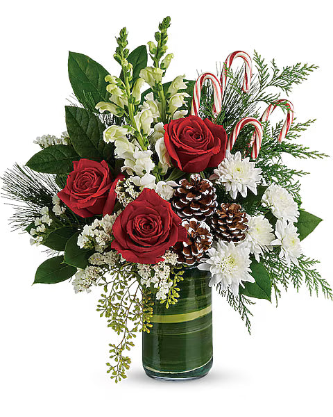 Festive Pines Bouquet with red roses, white snapdragons, white cushion spray chrysanthemums, candy canes, and pinecones in a clear glass vase, available from Days Flowers in Ocala, Port St. Lucie, Apollo Beach, and Summerfield, Florida.