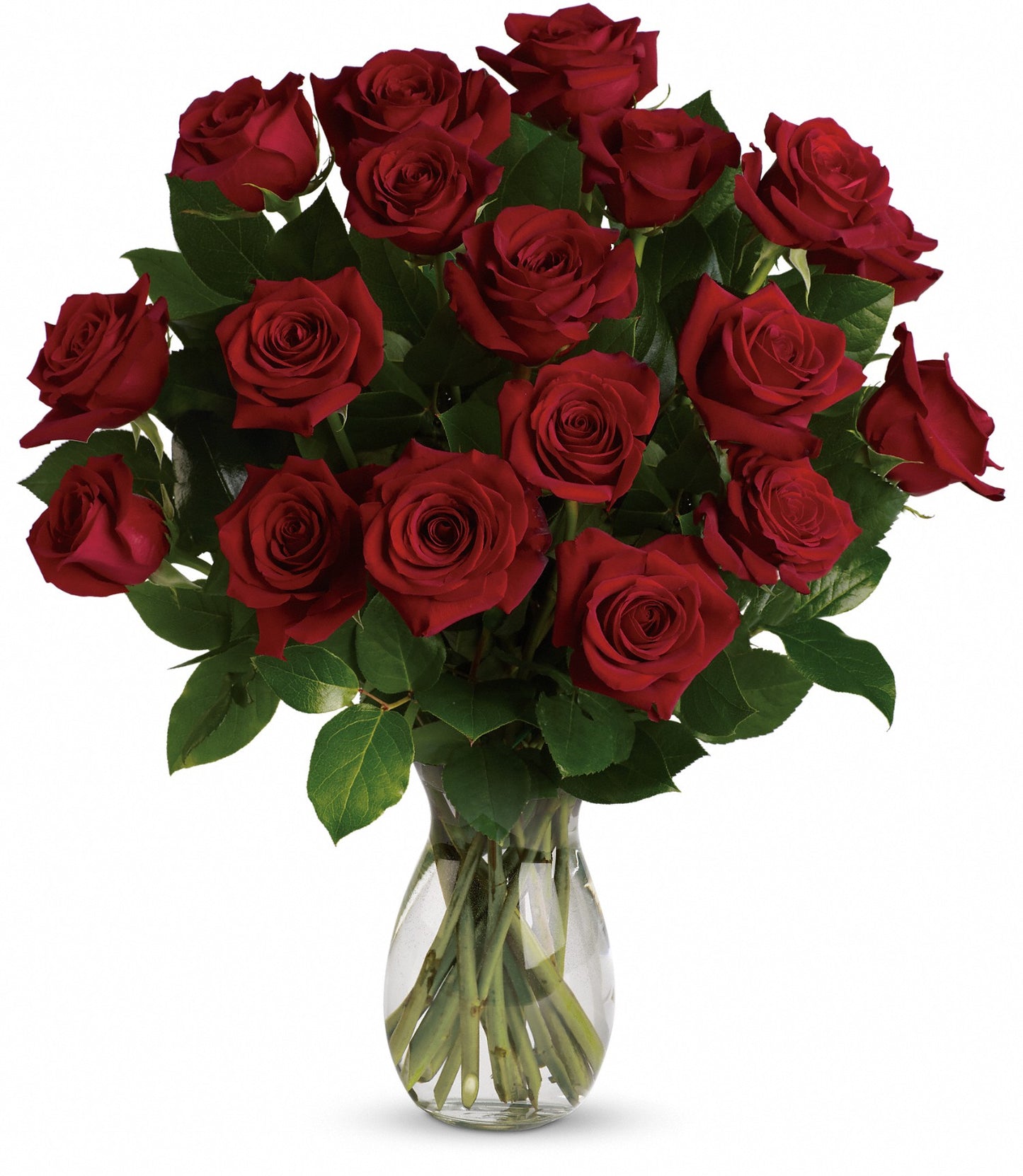 Days Flowers Florida: Gorgeous arrangement of eighteen long stem red roses. Timeless testimony of love gift delivery in Summerfield, FL.
