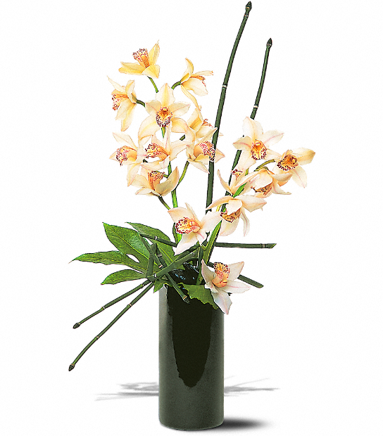 Artful Orchids