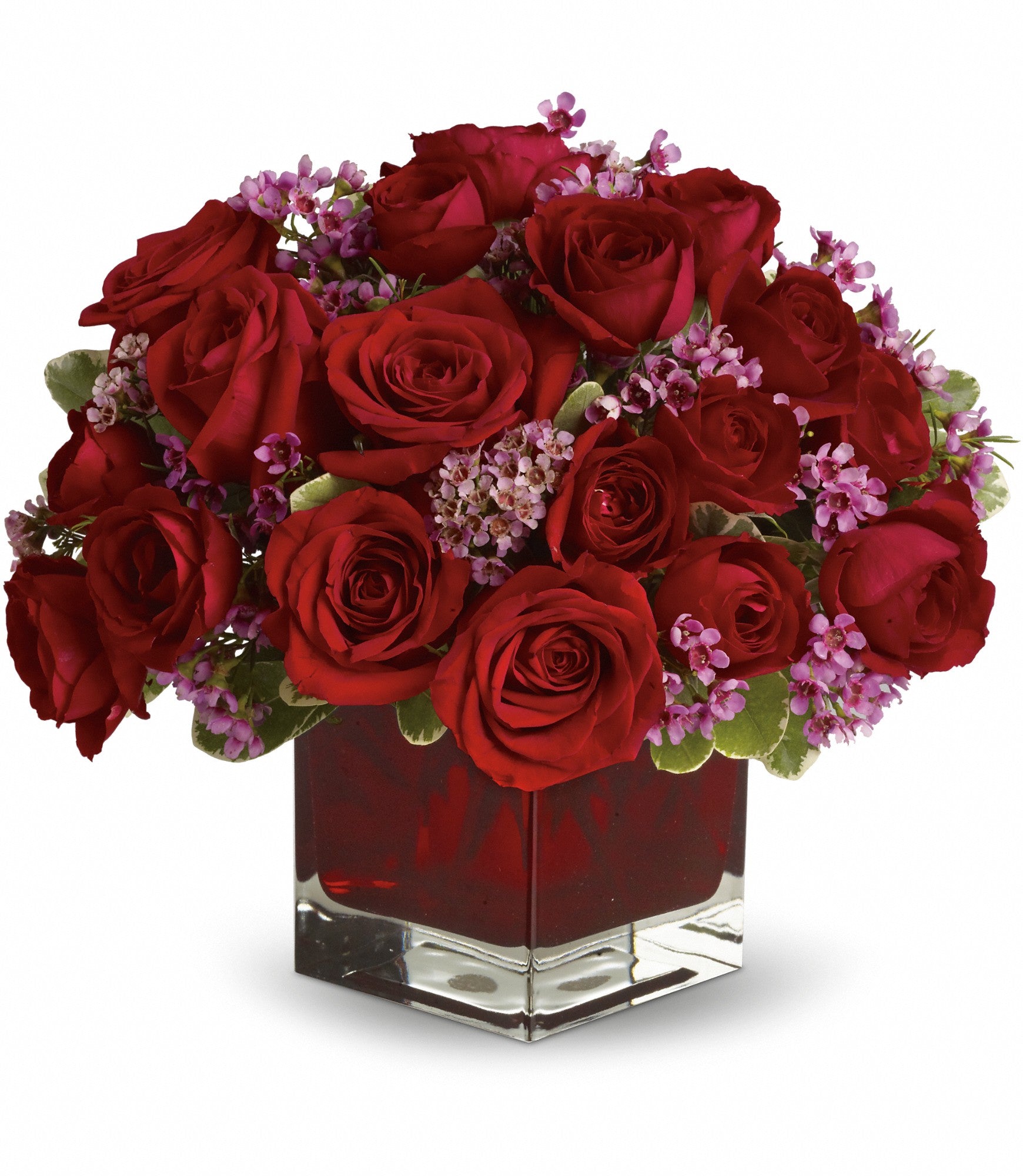 never-let-go-18-red-roses