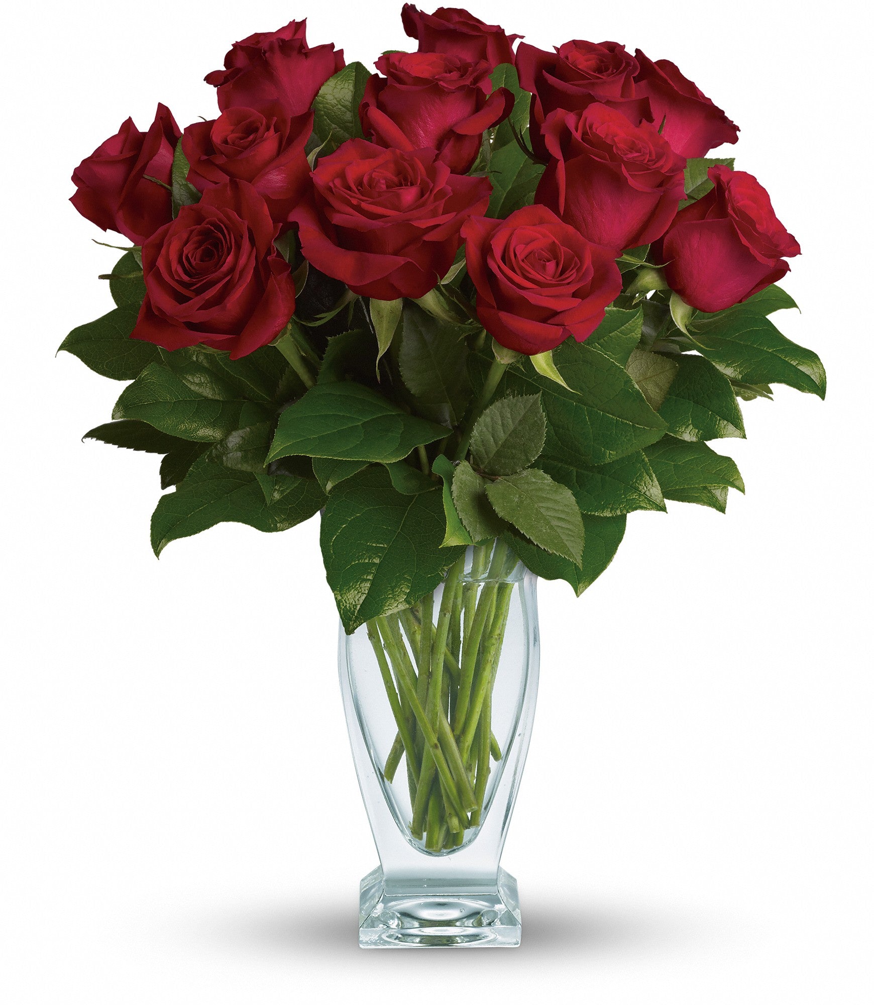 rose-classique-dozen-red-roses
