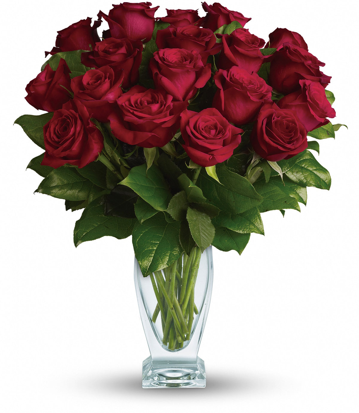 16 Dozen Roses Rose Classique - Dozen Red Roses – daysflowersflorida.com