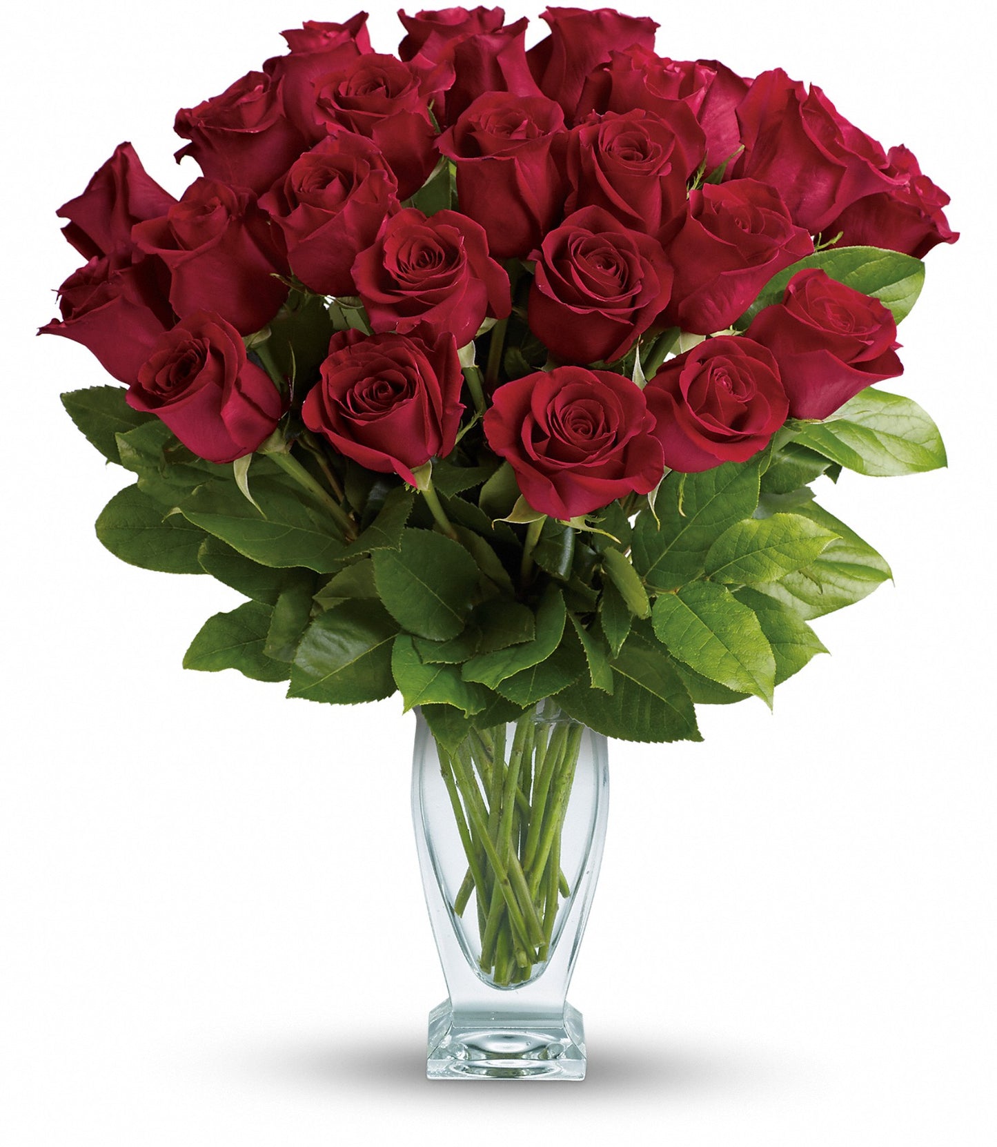 Rose Classique - Dozen Red Roses