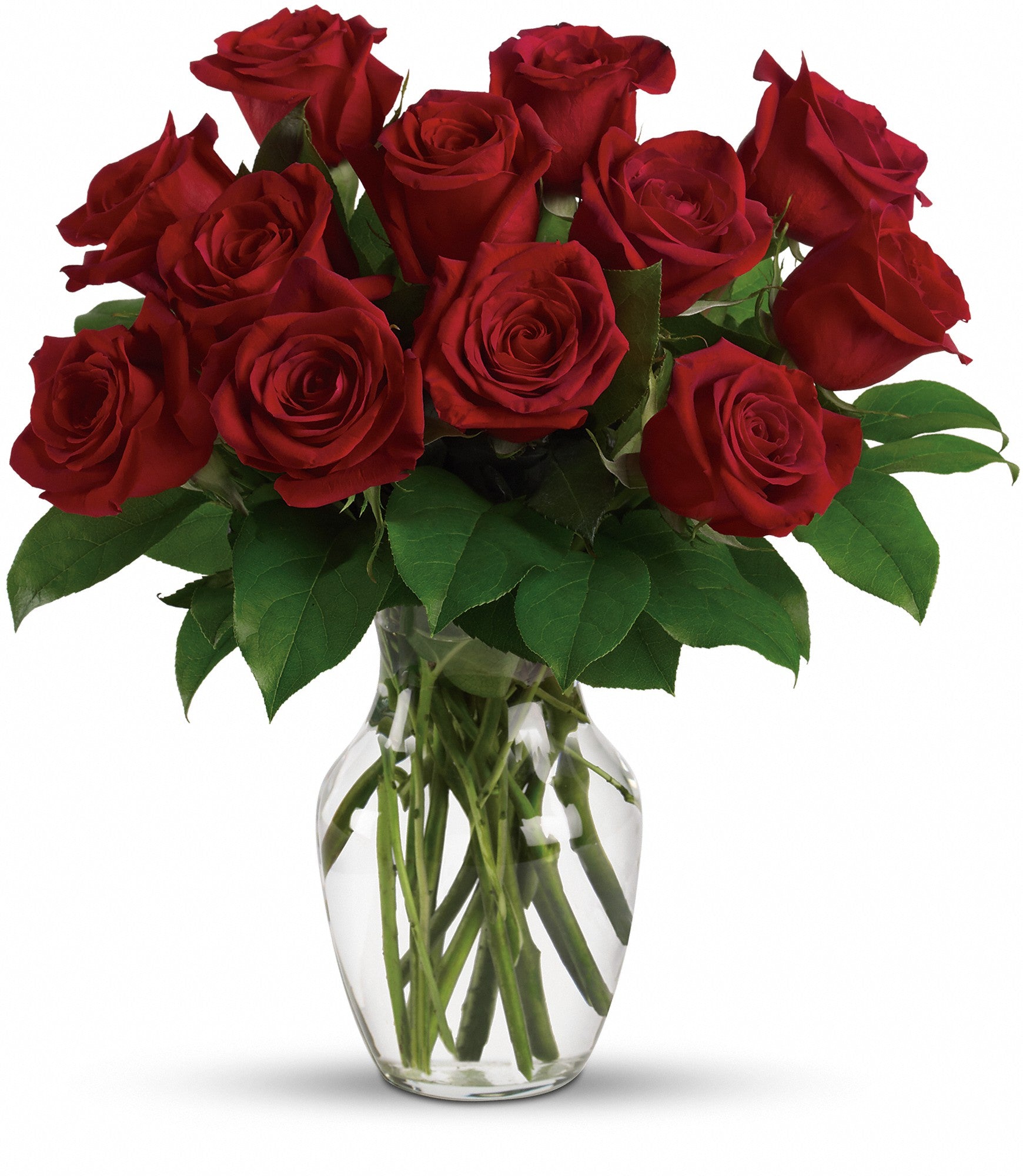 enduring-passion-12-red-roses