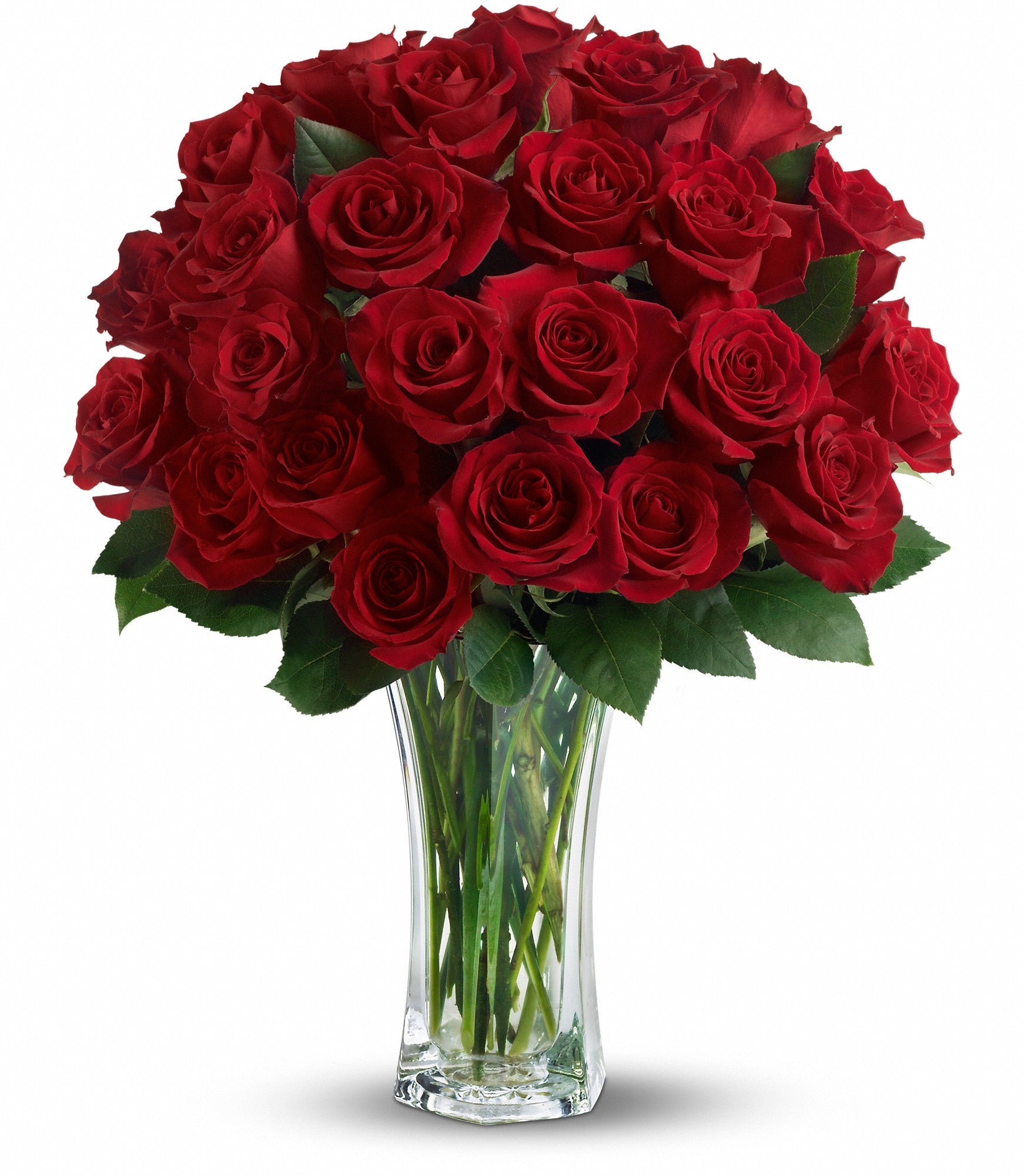 love-and-devotion-long-stemmed-red-roses