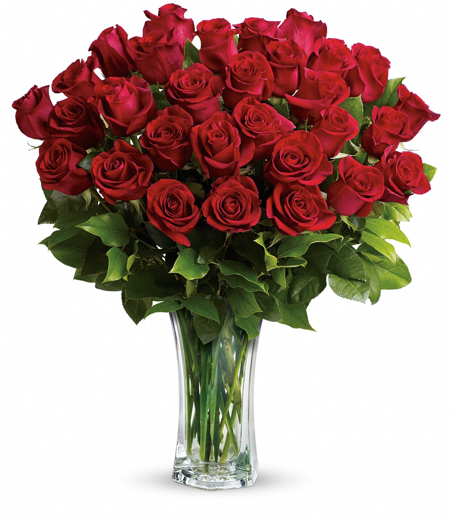 Love and Devotion - Long Stemmed Red Roses