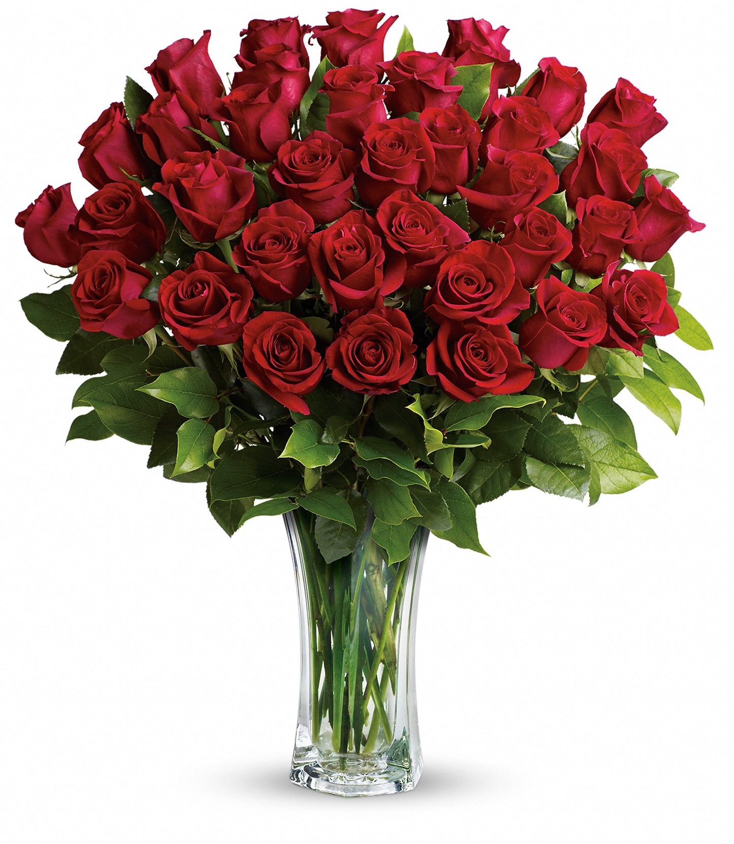 Love and Devotion - Long Stemmed Red Roses