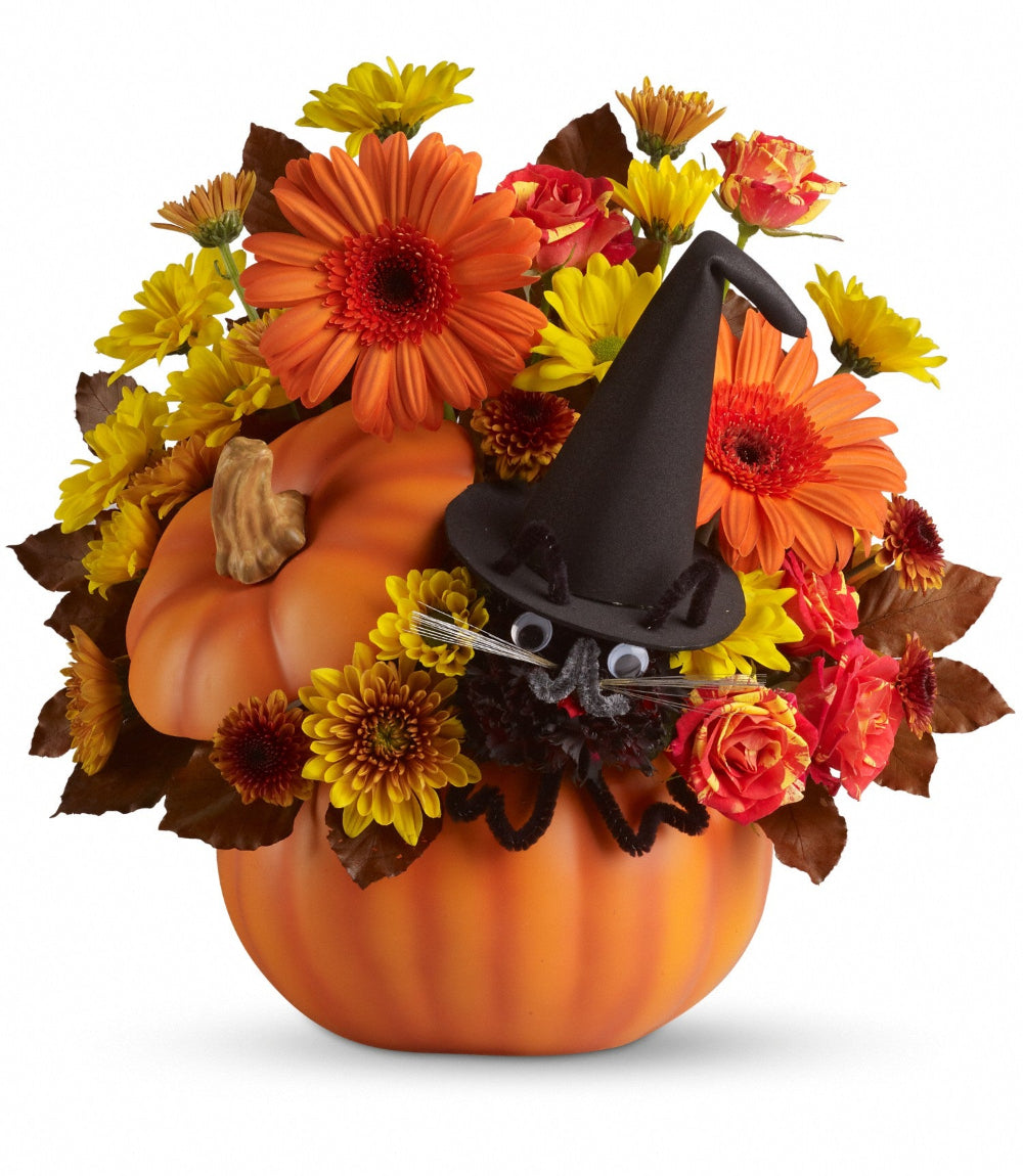 Bewitched Cat Bouquet featuring orange gerberas, bi-color spray roses, and a witch-hat black cat pick in a ceramic pumpkin by Days Flowers Florida.