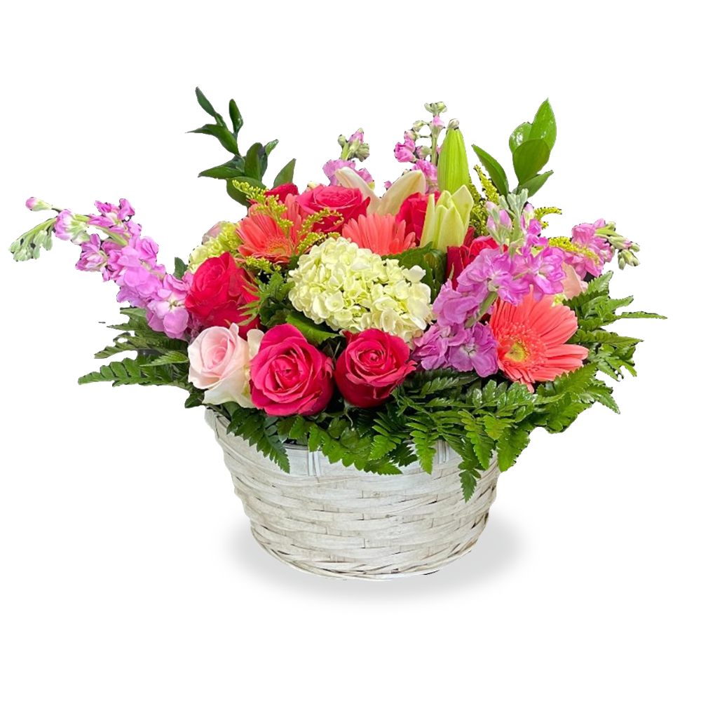 Radiance in Bloom Basket featuring pink roses, red gerberas, and white hydrangeas in a white woven basket by Days Flowers Florida.
