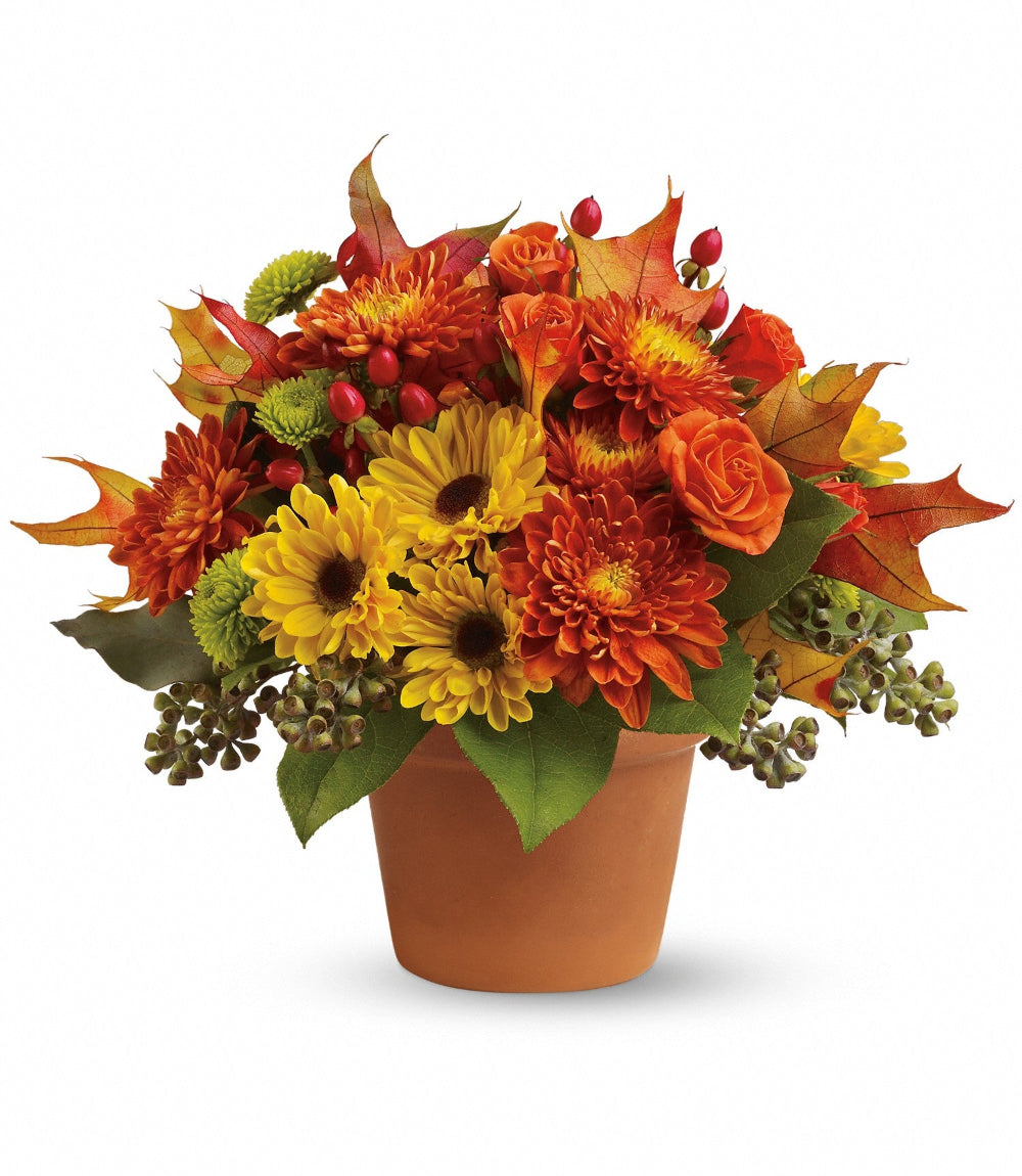Sugar Maples arrangement featuring orange spray roses, yellow viking mums, and red hypericum in a rustic terracotta pot by Days Flowers Florida.
