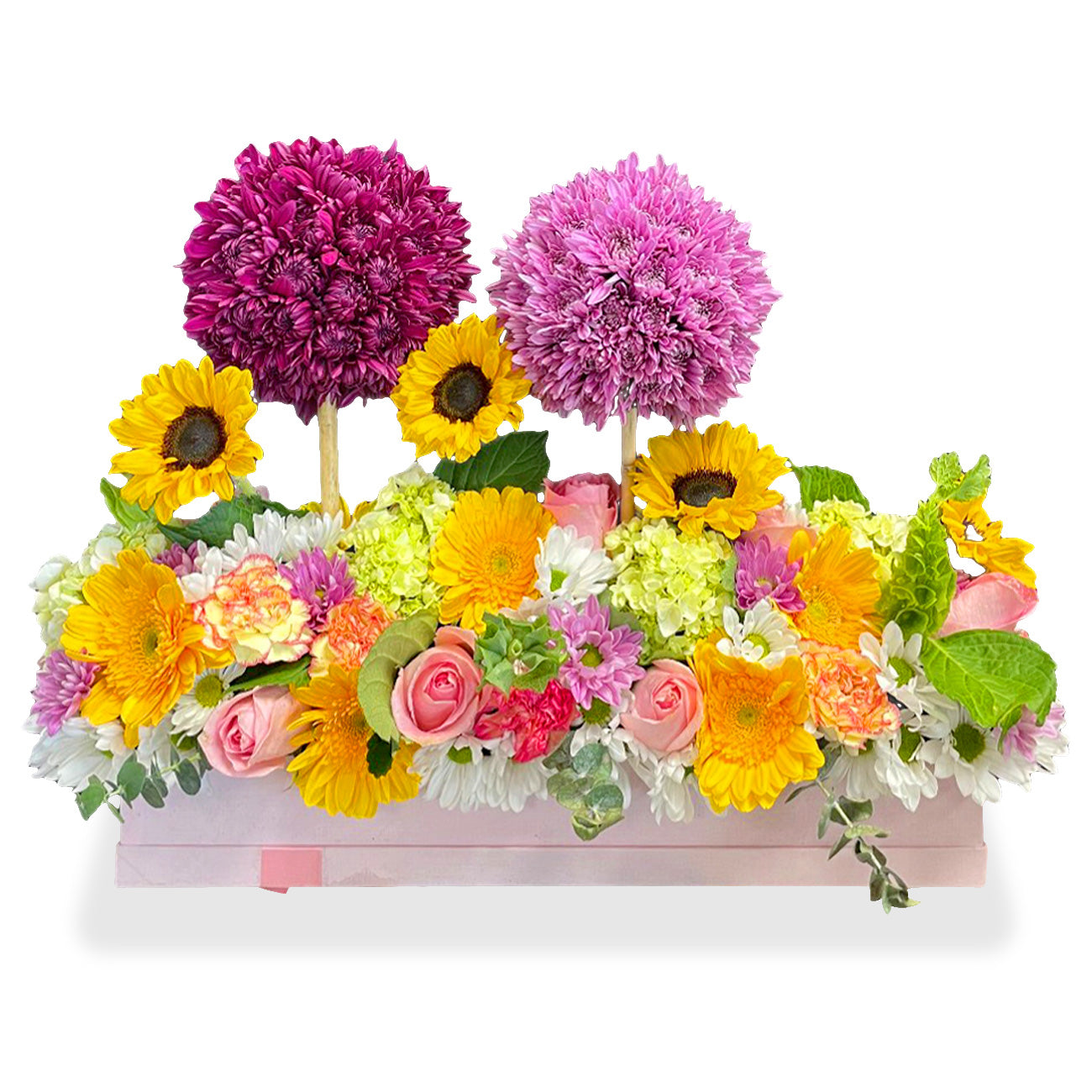 sunrise-blossom-collection
