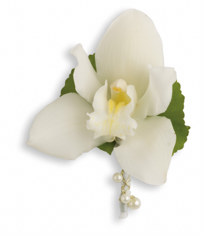 Elegant white orchid with pearls, perfect gift for delivery in Summerfield, Ocala, Orlando, The Villages, and Port St. Lucie.